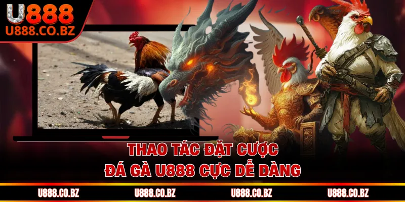 Đá Gà U888 - Nơi Hội Tụ Các Chiến Kê Lừng Danh Thế Giới 2 Thao tác đặt cược đá gà U888 cực dễ dàng